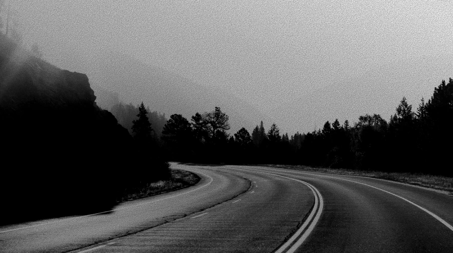 A curved road through a forest representing family-business continuity